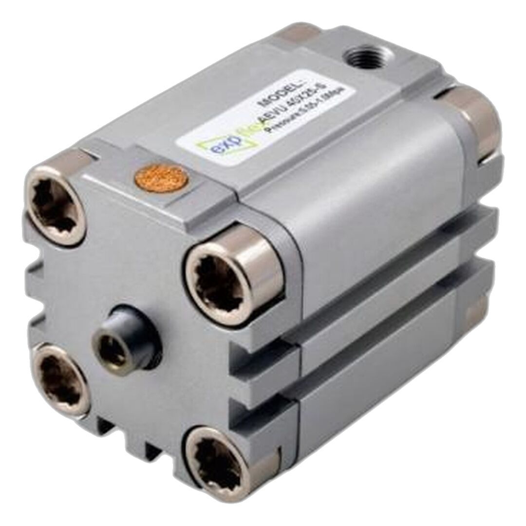 EXPFLEX AEVU-S 50x60 Pnömatik Silindir AEVU50X60 S