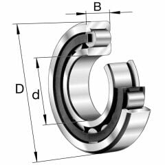 SKF NF203 Makaralı Rulman (Dış Çap 40mm - Genişlik 12mm)