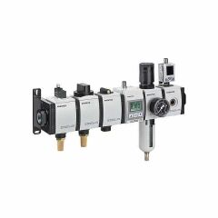 Emerson Aventics R480309662 Bakım ünitesi ve bileşenleri