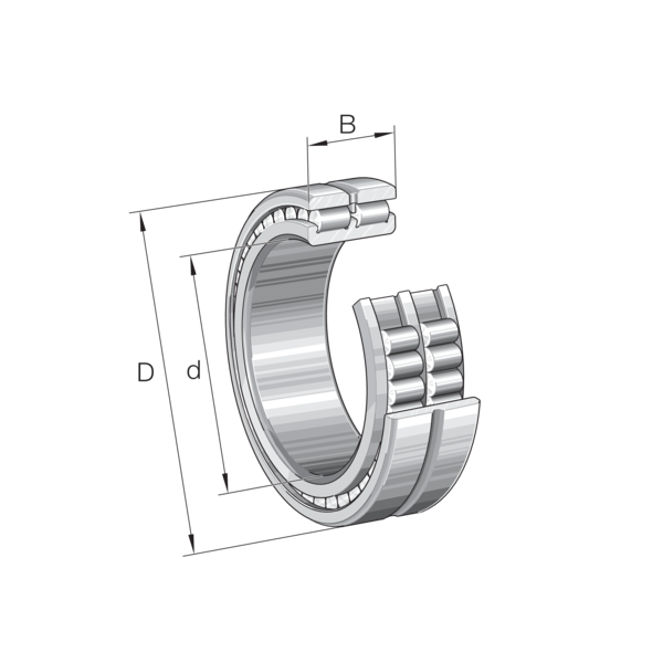 INA SL024860-A-C3  Silindirik Makaralı Rulman