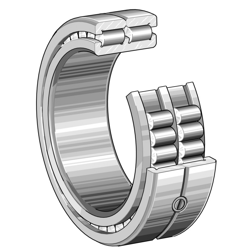 INA SL045010  Çift Sıralı