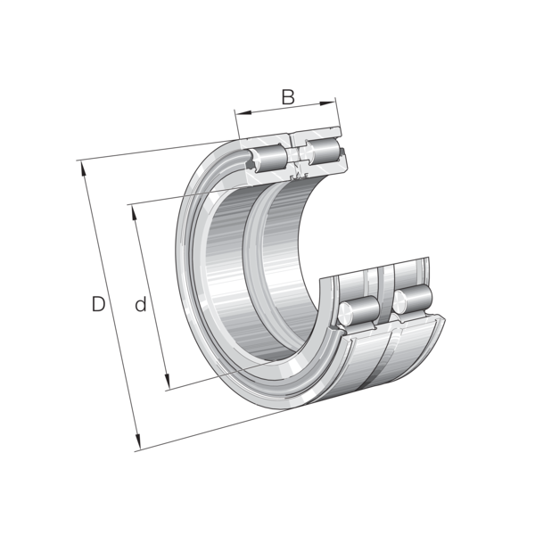 INA SL045018-D-PP  Çift Sıralı