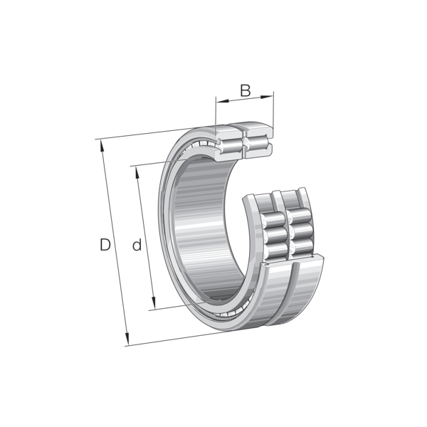 INA SL185007-A-C3  Çift Sıralı