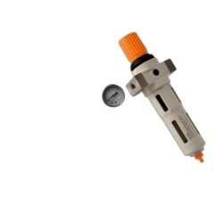 EXPFLEX OFR-MINI 1/8 1/8 Filitreli Regülatör 16 Bar