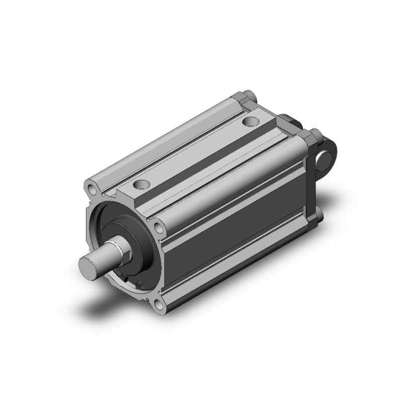 SMC Kompakt Silindir Ø100mm CQ2D100-125DCMZ