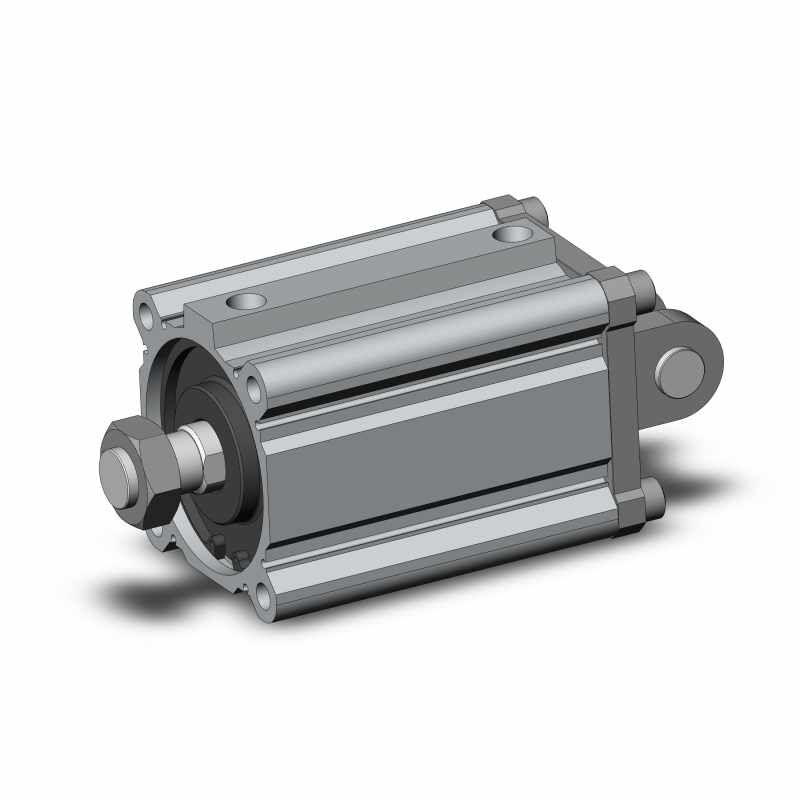 SMC Kompakt Silindir Ø100mm CQ2D100-100DCMZ