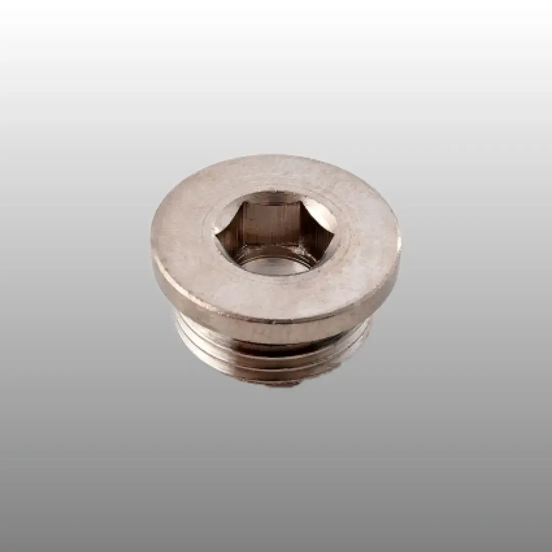 EXPFLEX IBPG02 1342-1/4 Alyan Başlı Tapa ( O-ringli)