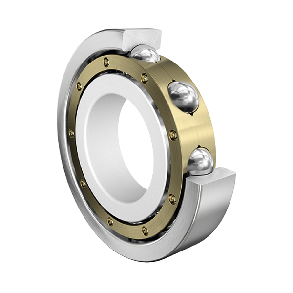 FAG 6338-M-J20C-C3  Sabit bilyalı rulmanlar