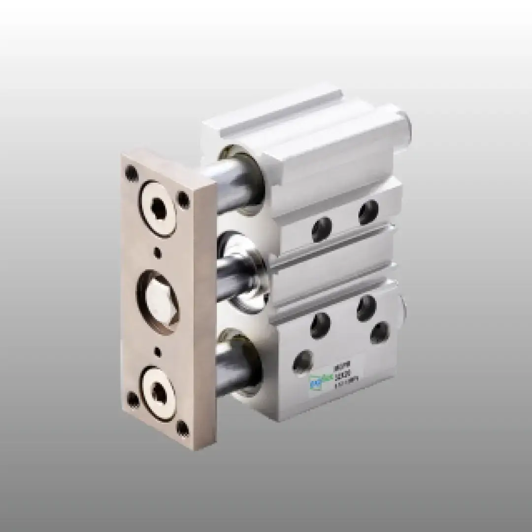 EXPFLEX MGPM 32X20 32x20 Yataklı Silindir Piston Manyetik Ç.e